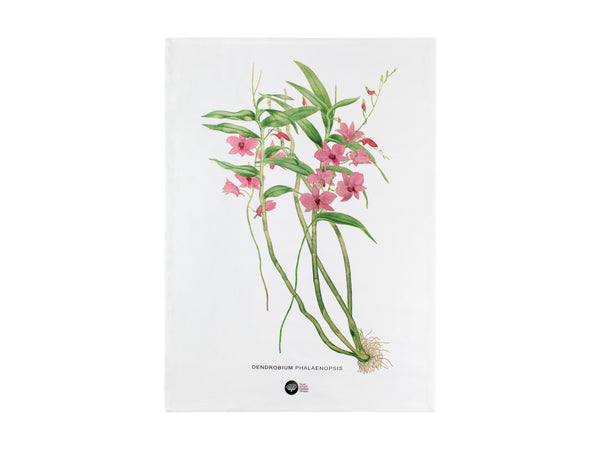 Maxwell & Williams Royal Botanic Gardens Australian Orchids Tea Towel 50x70cm - Pink