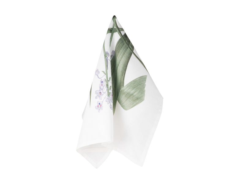 Maxwell & Williams Royal Botanic Gardens Australian Orchids Tea Towel 50x70cm - Lilac