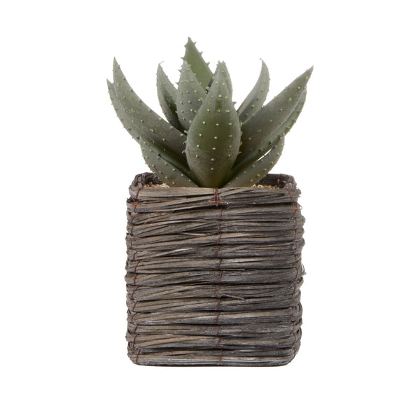 Botanica Artificial Plant - 30cm - Aloe Vera In A Basket
