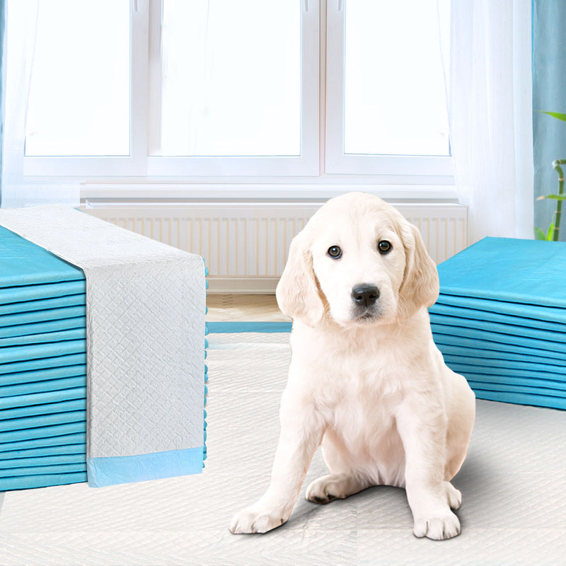 200pcs Puppy Dog/Cat 60 x 60cm Super Absorbent Indoor Disposable