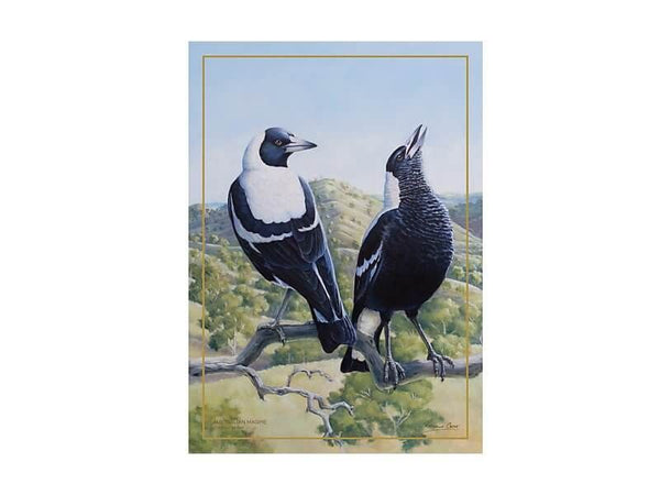 Maxwell & Williams Birds of Australia 10YR Anniversary Tea Towel 50x70cm Magpie