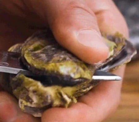 Appetito Oyster Knife - Charcoal