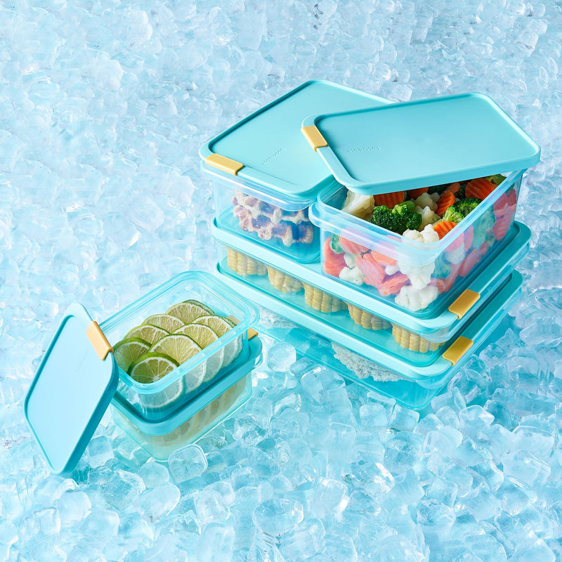 Lock & Lock Freezer Fit Containers 6pc Starter Set