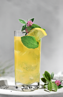 Krosno Mixology Highball Glasses - Set of 6 Gift Boxed - 390ml (Made in Poland)