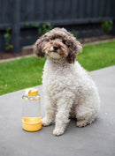 Lock & Lock Pet Water Bottle 1Lt