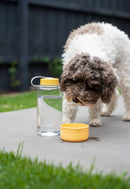 Lock & Lock Pet Water Bottle 1Lt