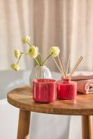 Love Anna x Chapters Second Date Reed Diffuser 200ml - Red Currant & Cream