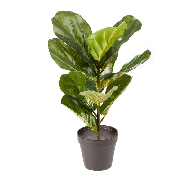 Artificial Fiddle Leaf - Faux Plant in Pot - 50cm