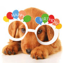 Happy Birthday ... Puppy With Glasses - Card 15.5x15.5cm