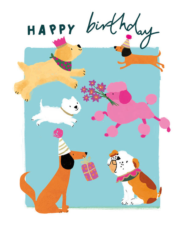 Happy Birthday - Dogs - Card 15.5x15.5cm