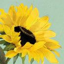 Flower - Notecard - 10x10cm