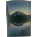 Le Desire Timeless Scented Soy Candle - Orchid Blooms - 340gr