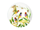 Maxwell & Williams Eloise Short Lyric Coupe Plate 20cm - Gouldian Finch