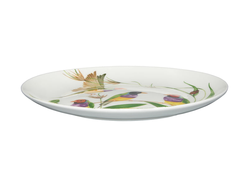 Maxwell & Williams Eloise Short Lyric Coupe Plate 20cm - Gouldian Finch