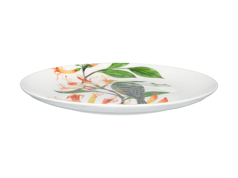 Maxwell & Williams Eloise Short Lyric Coupe Plate 20cm - Regent Honeyeater