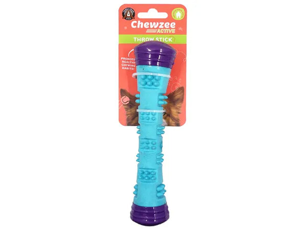 Dog Float/Squeak Throw Stick - Aqua/Purple
