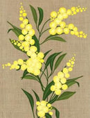 Wattle - Mini Gift Card - 8x10cm