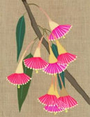 Eucalyptus - Mini Gift Card - 8x10cm