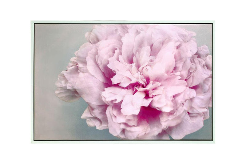 Pink Peony Framed Canvas - 120X80cm