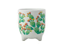 Maxwell & Williams Royal Botanic Garden - Arid Garden Planter Pot 14cm - Prickly Pear