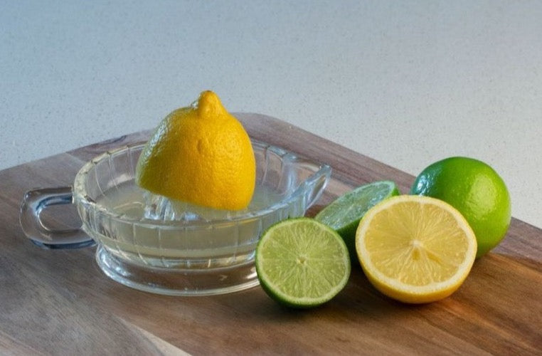 Cuisena Glass Citrus Juicer